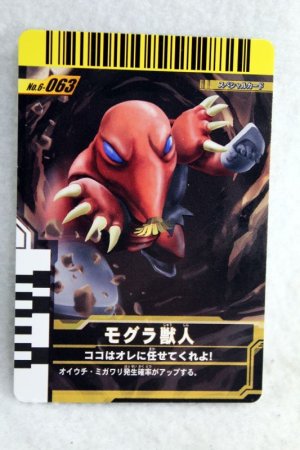 Photo1: 6-063 Mole Furry (1)