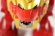 Photo7: Kaizoku Sentai Gokaiger / Gokai Machine Series 03 DX Gao Lion with Package (7)